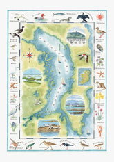 Map - Strangford Lough Wildlife